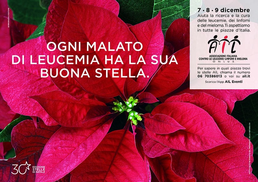 Cure Per La Stella Di Natale.In 180 Piazze Della Provincia Di Cuneo Appuntamento Con La 30 Edizione Delle Stella Di Natale Ail Lavocedialba It