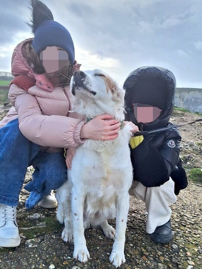 Ted, il cane ucciso nel maggio 2024, con le sue proprietarie Ted, il cane ucciso nel maggio 2024, con le sue proprietarie