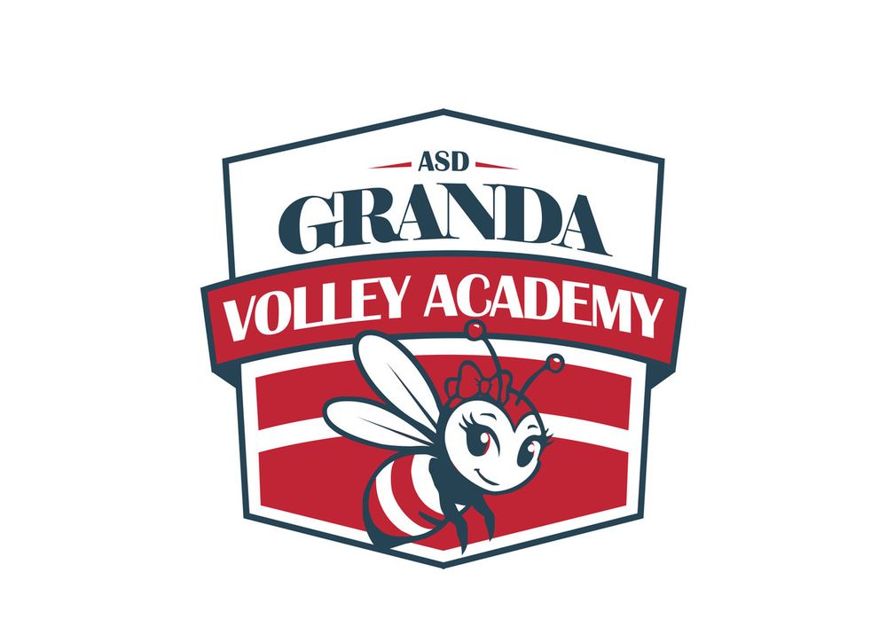 PALLAVOLO / Asd Granda Volley Academy presenta la nuova identità: l'ape, simbolo di una comunità che cresce insieme