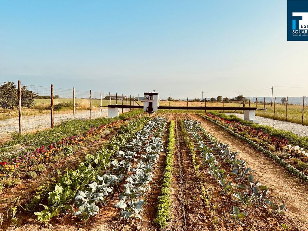 A Roreto di Cherasco lorto diventa high tech grazie alliniziativa della  TesiSquare - Lavocedialba.it
