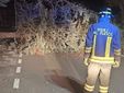 L'intervento dei Vigili del Fuoco a Costigliole Saluzzo L'intervento dei Vigili del Fuoco a Costigliole Saluzzo