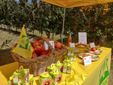 Saluzzo, l'evento "Cogli la prima mela " di Coldiretti Cuneo Saluzzo, l'evento "Cogli la prima mela " di Coldiretti Cuneo