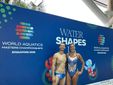 Francesca Montù e Federico Martino ai  World Acquatics Master Championship di Singapore