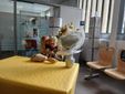 aluzzo, Ufficio Postale festeggiati i 100 anni di Bruna Andreis, già direttrice della Filiale aluzzo, Ufficio Postale festeggiati i 100 anni di Bruna Andreis, già direttrice della Filiale