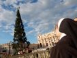L'arrivo e la posa dell'abete in piazza San Pietro (Ph. Ansa Giupiemofoto) L'arrivo e la posa dell'abete in piazza San Pietro (Ph. Ansa Giupiemofoto)