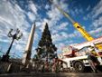 L'arrivo e la posa dell'abete in piazza San Pietro (Ph. Ansa Giupiemofoto) L'arrivo e la posa dell'abete in piazza San Pietro (Ph. Ansa Giupiemofoto)