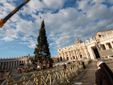L'arrivo e la posa dell'abete in piazza San Pietro (Ph. Ansa Giupiemofoto) L'arrivo e la posa dell'abete in piazza San Pietro (Ph. Ansa Giupiemofoto)
