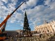 L'arrivo e la posa dell'abete in piazza San Pietro (Ph. Ansa Giupiemofoto) L'arrivo e la posa dell'abete in piazza San Pietro (Ph. Ansa Giupiemofoto)