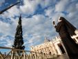 L'arrivo e la posa dell'abete in piazza San Pietro (Ph. Ansa Giupiemofoto) L'arrivo e la posa dell'abete in piazza San Pietro (Ph. Ansa Giupiemofoto)