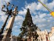 L'arrivo e la posa dell'abete in piazza San Pietro (Ph. Ansa Giupiemofoto) L'arrivo e la posa dell'abete in piazza San Pietro (Ph. Ansa Giupiemofoto)
