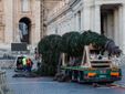 L'arrivo e la posa dell'abete in piazza San Pietro (Ph. Ansa Giupiemofoto) L'arrivo e la posa dell'abete in piazza San Pietro (Ph. Ansa Giupiemofoto)