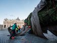 L'arrivo e la posa dell'abete in piazza San Pietro (Ph. Ansa Giupiemofoto) L'arrivo e la posa dell'abete in piazza San Pietro (Ph. Ansa Giupiemofoto)