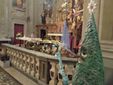 L'abete Sap in parrocchia a fianco del presepe
