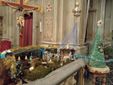 L'abete Sap in parrocchia a fianco del presepe