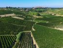 "Qualità e diversificazione: da qui passa il futuro del vino cooperativo" "Qualità e diversificazione: da qui passa il futuro del vino cooperativo"