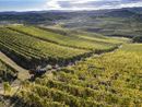 Vigneti Chiarlo a Barolo Vigneti Chiarlo a Barolo