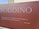 A Roddino si investe in cultura e futuro con il progetto "Insieme per crescere"