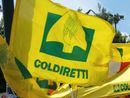 Successione ereditaria, Coldiretti Cuneo: incontri a Bra e Alba per imprenditori agricoli e pensionati