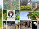 Alba, il benessere inizia a piccoli passi: si presenta il gruppo “Natura e Mente” Alba, il benessere inizia a piccoli passi: si presenta il gruppo “Natura e Mente”