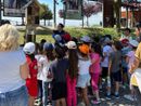 A Novello si è inaugurato  "l'Hotel degli insetti”: un doposcuola che lascia il segno anche nella natura