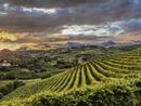 Archivio Paesaggi Vitivinicoli del Piemonte Langhe, Roero, Monferrato Unescp (Credito Carlo Avataneo) Archivio Paesaggi Vitivinicoli del Piemonte Langhe, Roero, Monferrato Unescp (Credito Carlo Avataneo)