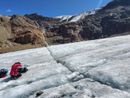 Le "pulci dei ghiacciai": ancora poco conosciute e già minacciate