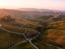 Nuovi vertici per Visit Piemonte. La presidenza resta in provincia di Cuneo (in foto uno scorcio delle Langhe dalle pagine dello stesso portale di promozione turistica) Nuovi vertici per Visit Piemonte. La presidenza resta in provincia di Cuneo (in foto uno scorcio delle Langhe dalle pagine dello stesso portale di promozione turistica)