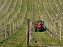 Agricoltura e sfruttamento del lavoro, le problematiche presentate dalle associazioni di categorie Agricoltura e sfruttamento del lavoro, le problematiche presentate dalle associazioni di categorie
