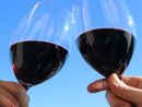 Enoteca regionale del Roero in festa: domenica 13 luglio un momento di incontro fra le cantine e il territorio nel centro storico di Canale Enoteca regionale del Roero in festa: domenica 13 luglio un momento di incontro fra le cantine e il territorio nel centro storico di Canale