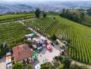 Novità tecniche e prove in vigneto in località Altavilla ad Alba con Confagricoltura Cuneo