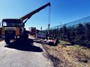 Rimorchio carico di maiali si ribalta a Lagnasco: morti dieci animali Rimorchio carico di maiali si ribalta a Lagnasco: morti dieci animali