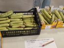 Cuneo, una rete contro spreco alimentare e povertà. Associazioni e Caritas uniscono le forze per sostenibilità, inclusione e solidarietà