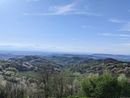 Cissone si trasforma: da oggi al via il Summer Camp tra smart working, natura e innovazione