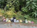 Controlli a Ferragosto a Santa Rosalia