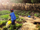 LVIA lancia l'aperitivo solidale per le comunità contadine in Guinea