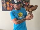 Samuele Boschero con l'esemplare di porcino del peso di 1,9 kg. Samuele Boschero con l'esemplare di porcino del peso di 1,9 kg.