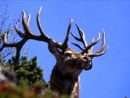 Fine settembre in valle Stura con cultura, natura e tradizioni Fine settembre in valle Stura con cultura, natura e tradizioni