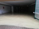 Danni da avversità atmosferiche: nuova piattaforma per la segnalazione dei danni Danni da avversità atmosferiche: nuova piattaforma per la segnalazione dei danni