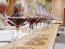 Crisi del vino in Piemonte, l’allarme di Confagricoltura: “Distillazione straordinaria e riforme strutturali per salvare il comparto” Crisi del vino in Piemonte, l’allarme di Confagricoltura: “Distillazione straordinaria e riforme strutturali per salvare il comparto”