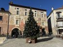 L'albero di Natale in piazza Maggiore a Mondovì che si accenderà per GinItaly L'albero di Natale in piazza Maggiore a Mondovì che si accenderà per GinItaly