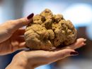 Il Consorzio Alta Langa ancora main sponsor della 95ª Fiera Internazionale del Tartufo Bianco di Alba