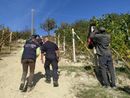 Lavoro, Coldiretti Cuneo: "Dal tavolo interministeriale passi importanti contro il caporalato"