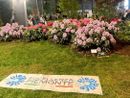 Asproflor a "Clorofilla 2025": natura, gioco e creatività in un week end ad Alba