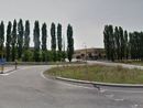 Pioppi da abbattere nell'area industriale di Montà, Italia Nostra: "Si proceda con cautela"
