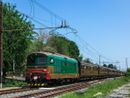 Da Cuneo a Ventimiglia a bordo del treno storico "delle Meraviglie" al Fitwalking a Scarnafigi per una domenica alternativa Da Cuneo a Ventimiglia a bordo del treno storico "delle Meraviglie" al Fitwalking a Scarnafigi per una domenica alternativa