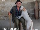 Copertina del podcast è una delle immagini del fotografo statunitense Steve McCurry, Realizzata per la mostra permanente “Truffle hunters and their dogs” del Mudet