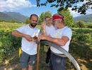 Da Dronero a Fontanafredda la falce torna protagonista per ripensare il futuro del paesaggio e del vino Da Dronero a Fontanafredda la falce torna protagonista per ripensare il futuro del paesaggio e del vino