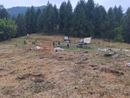 Moria di bovini ad Oncino: 41 i capi deceduti in due giorni