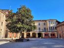Al via i saldi: a Bra due sabati di parcheggi blu gratuiti Al via i saldi: a Bra due sabati di parcheggi blu gratuiti