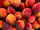 Un’estate di qualità per la frutta piemontese e raccolte promettenti